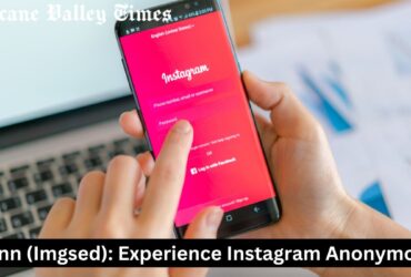 Imginn (Imgsed): Experience Instagram Anonymously