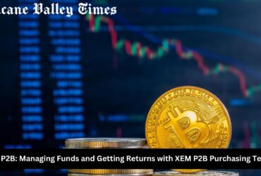 Buy XEM P2B: Managing Funds and Getting Returns with XEM P2B Purchasing Techniques