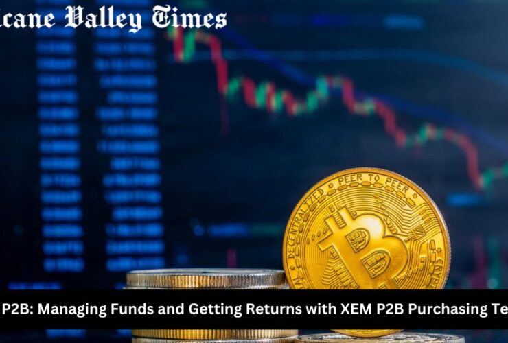 Buy XEM P2B: Managing Funds and Getting Returns with XEM P2B Purchasing Techniques