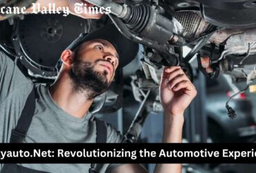 Nettyauto.Net: Revolutionizing the Automotive Experience