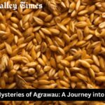 Agrawau is a name shrouded in mystery, a place—or perhaps a concept—that sparks curiosity and intrigue. For centuries, people have speculated about what Agrawau truly represents, weaving together tales of myth, legend, and history. In this article, we delve into the enigmatic world of Agrawau, exploring its origins, significance, and the theories that surround it. The Origins of Agrawau Agrawau's origins are as elusive as the name itself. Some believe that it is an ancient word derived from a long-lost language, possibly linked to an ancient civilization. Theories suggest that Agrawau was once a thriving city, a hub of culture and knowledge, now lost to time. Others argue that Agrawau is not a physical place but rather a metaphorical or spiritual realm, symbolizing a state of enlightenment or hidden wisdom. Agrawau in Myth and Legend Throughout history, Agrawau has been mentioned in various myths and legends. In some cultures, Agrawau is considered a sacred land, a paradise where the gods once walked among mortals. Stories tell of a utopian society that existed in harmony with nature, where people lived in peace and prosperity. However, due to a great calamity, Agrawau was hidden from the world, accessible only to those who possess the knowledge to find it. In other tales, Agrawau is depicted as a place of great power, guarded by ancient beings or forces. Only the bravest or most worthy can reach Agrawau, often undergoing a series of trials or quests to prove their merit. These legends have inspired countless adventurers and seekers throughout the ages, all hoping to uncover the secrets of Agrawau. Theories and Interpretations The enigmatic nature of Agrawau has led to numerous theories and interpretations. Some scholars believe that Agrawau represents a lost city, similar to Atlantis, that existed in a distant past. Archaeologists and historians have searched for evidence of such a place, but no definitive proof has been found. Others propose that Agrawau is a symbolic concept rather than a physical location. It may represent an ideal state of being, a spiritual goal that one can achieve through personal growth, wisdom, and understanding. In this interpretation, Agrawau is not a place to be found on a map but a journey within oneself. A more modern interpretation suggests that Agrawau is a metaphor for hidden knowledge or esoteric wisdom. It could be a reference to a body of knowledge that has been kept secret or forgotten over time, accessible only to those who seek it with pure intentions. The Search for Agrawau Despite its elusive nature, the search for Agrawau continues. Explorers, historians, and spiritual seekers alike are drawn to the mystery, each with their own reasons and motivations. Some are driven by the desire for discovery, hoping to uncover a lost piece of history. Others are motivated by the promise of spiritual enlightenment, believing that finding Agrawau will unlock the secrets of the universe. In recent years, the search for Agrawau has taken on new forms. Digital explorers have taken to the internet, scouring ancient texts, online forums, and virtual communities for clues. The rise of social media has also given rise to new theories and discussions about Agrawau, with people from around the world contributing their insights and ideas. Agrawau in Popular Culture The legend of Agrawau has also made its way into popular culture. It has been referenced in books, movies, and video games, often depicted as a mythical land or hidden treasure. In these portrayals, Agrawau serves as a symbol of the unknown, a representation of the human desire to explore and discover. Agrawau has also inspired artists and creators, who have used the concept to explore themes of mystery, adventure, and the search for meaning. Whether through visual art, music, or literature, Agrawau continues to captivate the imagination, serving as a muse for those who are drawn to its mystery. The Future of Agrawau As we move further into the 21st century, the mystery of Agrawau remains unsolved. However, this does not diminish its allure. In fact, the lack of concrete answers only adds to its mystique, encouraging new generations to take up the search. Whether Agrawau is a real place, a metaphor, or something else entirely, it serves as a reminder of the human spirit's unending quest for knowledge and discovery. In a world where much has already been explored and understood, Agrawau stands as a beacon of the unknown, a symbol of the mysteries that still await us. The search for Agrawau may never end, but perhaps that is the point. It is the journey, rather than the destination, that holds the true value. Conclusion Agrawau, whether a lost city, a spiritual concept, or a hidden realm of knowledge, continues to capture the imagination of those who hear its name. Its mystery endures, inviting us to explore the unknown and seek out the secrets that lie just beyond our understanding. In the end, the search for Agrawau is not just about finding answers but about embracing the journey itself—a journey that reflects our deepest desires for meaning, purpose, and discovery. This article explores the concept of "Agrawau" as a mysterious and enigmatic entity, combining elements of myth, history, and modern interpretation. If you had something specific in mind, feel free to share more details, and I can adjust the content accordingly.