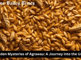 Agrawau is a name shrouded in mystery, a place—or perhaps a concept—that sparks curiosity and intrigue. For centuries, people have speculated about what Agrawau truly represents, weaving together tales of myth, legend, and history. In this article, we delve into the enigmatic world of Agrawau, exploring its origins, significance, and the theories that surround it. The Origins of Agrawau Agrawau's origins are as elusive as the name itself. Some believe that it is an ancient word derived from a long-lost language, possibly linked to an ancient civilization. Theories suggest that Agrawau was once a thriving city, a hub of culture and knowledge, now lost to time. Others argue that Agrawau is not a physical place but rather a metaphorical or spiritual realm, symbolizing a state of enlightenment or hidden wisdom. Agrawau in Myth and Legend Throughout history, Agrawau has been mentioned in various myths and legends. In some cultures, Agrawau is considered a sacred land, a paradise where the gods once walked among mortals. Stories tell of a utopian society that existed in harmony with nature, where people lived in peace and prosperity. However, due to a great calamity, Agrawau was hidden from the world, accessible only to those who possess the knowledge to find it. In other tales, Agrawau is depicted as a place of great power, guarded by ancient beings or forces. Only the bravest or most worthy can reach Agrawau, often undergoing a series of trials or quests to prove their merit. These legends have inspired countless adventurers and seekers throughout the ages, all hoping to uncover the secrets of Agrawau. Theories and Interpretations The enigmatic nature of Agrawau has led to numerous theories and interpretations. Some scholars believe that Agrawau represents a lost city, similar to Atlantis, that existed in a distant past. Archaeologists and historians have searched for evidence of such a place, but no definitive proof has been found. Others propose that Agrawau is a symbolic concept rather than a physical location. It may represent an ideal state of being, a spiritual goal that one can achieve through personal growth, wisdom, and understanding. In this interpretation, Agrawau is not a place to be found on a map but a journey within oneself. A more modern interpretation suggests that Agrawau is a metaphor for hidden knowledge or esoteric wisdom. It could be a reference to a body of knowledge that has been kept secret or forgotten over time, accessible only to those who seek it with pure intentions. The Search for Agrawau Despite its elusive nature, the search for Agrawau continues. Explorers, historians, and spiritual seekers alike are drawn to the mystery, each with their own reasons and motivations. Some are driven by the desire for discovery, hoping to uncover a lost piece of history. Others are motivated by the promise of spiritual enlightenment, believing that finding Agrawau will unlock the secrets of the universe. In recent years, the search for Agrawau has taken on new forms. Digital explorers have taken to the internet, scouring ancient texts, online forums, and virtual communities for clues. The rise of social media has also given rise to new theories and discussions about Agrawau, with people from around the world contributing their insights and ideas. Agrawau in Popular Culture The legend of Agrawau has also made its way into popular culture. It has been referenced in books, movies, and video games, often depicted as a mythical land or hidden treasure. In these portrayals, Agrawau serves as a symbol of the unknown, a representation of the human desire to explore and discover. Agrawau has also inspired artists and creators, who have used the concept to explore themes of mystery, adventure, and the search for meaning. Whether through visual art, music, or literature, Agrawau continues to captivate the imagination, serving as a muse for those who are drawn to its mystery. The Future of Agrawau As we move further into the 21st century, the mystery of Agrawau remains unsolved. However, this does not diminish its allure. In fact, the lack of concrete answers only adds to its mystique, encouraging new generations to take up the search. Whether Agrawau is a real place, a metaphor, or something else entirely, it serves as a reminder of the human spirit's unending quest for knowledge and discovery. In a world where much has already been explored and understood, Agrawau stands as a beacon of the unknown, a symbol of the mysteries that still await us. The search for Agrawau may never end, but perhaps that is the point. It is the journey, rather than the destination, that holds the true value. Conclusion Agrawau, whether a lost city, a spiritual concept, or a hidden realm of knowledge, continues to capture the imagination of those who hear its name. Its mystery endures, inviting us to explore the unknown and seek out the secrets that lie just beyond our understanding. In the end, the search for Agrawau is not just about finding answers but about embracing the journey itself—a journey that reflects our deepest desires for meaning, purpose, and discovery. This article explores the concept of "Agrawau" as a mysterious and enigmatic entity, combining elements of myth, history, and modern interpretation. If you had something specific in mind, feel free to share more details, and I can adjust the content accordingly.