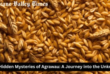 Agrawau is a name shrouded in mystery, a place—or perhaps a concept—that sparks curiosity and intrigue. For centuries, people have speculated about what Agrawau truly represents, weaving together tales of myth, legend, and history. In this article, we delve into the enigmatic world of Agrawau, exploring its origins, significance, and the theories that surround it. The Origins of Agrawau Agrawau's origins are as elusive as the name itself. Some believe that it is an ancient word derived from a long-lost language, possibly linked to an ancient civilization. Theories suggest that Agrawau was once a thriving city, a hub of culture and knowledge, now lost to time. Others argue that Agrawau is not a physical place but rather a metaphorical or spiritual realm, symbolizing a state of enlightenment or hidden wisdom. Agrawau in Myth and Legend Throughout history, Agrawau has been mentioned in various myths and legends. In some cultures, Agrawau is considered a sacred land, a paradise where the gods once walked among mortals. Stories tell of a utopian society that existed in harmony with nature, where people lived in peace and prosperity. However, due to a great calamity, Agrawau was hidden from the world, accessible only to those who possess the knowledge to find it. In other tales, Agrawau is depicted as a place of great power, guarded by ancient beings or forces. Only the bravest or most worthy can reach Agrawau, often undergoing a series of trials or quests to prove their merit. These legends have inspired countless adventurers and seekers throughout the ages, all hoping to uncover the secrets of Agrawau. Theories and Interpretations The enigmatic nature of Agrawau has led to numerous theories and interpretations. Some scholars believe that Agrawau represents a lost city, similar to Atlantis, that existed in a distant past. Archaeologists and historians have searched for evidence of such a place, but no definitive proof has been found. Others propose that Agrawau is a symbolic concept rather than a physical location. It may represent an ideal state of being, a spiritual goal that one can achieve through personal growth, wisdom, and understanding. In this interpretation, Agrawau is not a place to be found on a map but a journey within oneself. A more modern interpretation suggests that Agrawau is a metaphor for hidden knowledge or esoteric wisdom. It could be a reference to a body of knowledge that has been kept secret or forgotten over time, accessible only to those who seek it with pure intentions. The Search for Agrawau Despite its elusive nature, the search for Agrawau continues. Explorers, historians, and spiritual seekers alike are drawn to the mystery, each with their own reasons and motivations. Some are driven by the desire for discovery, hoping to uncover a lost piece of history. Others are motivated by the promise of spiritual enlightenment, believing that finding Agrawau will unlock the secrets of the universe. In recent years, the search for Agrawau has taken on new forms. Digital explorers have taken to the internet, scouring ancient texts, online forums, and virtual communities for clues. The rise of social media has also given rise to new theories and discussions about Agrawau, with people from around the world contributing their insights and ideas. Agrawau in Popular Culture The legend of Agrawau has also made its way into popular culture. It has been referenced in books, movies, and video games, often depicted as a mythical land or hidden treasure. In these portrayals, Agrawau serves as a symbol of the unknown, a representation of the human desire to explore and discover. Agrawau has also inspired artists and creators, who have used the concept to explore themes of mystery, adventure, and the search for meaning. Whether through visual art, music, or literature, Agrawau continues to captivate the imagination, serving as a muse for those who are drawn to its mystery. The Future of Agrawau As we move further into the 21st century, the mystery of Agrawau remains unsolved. However, this does not diminish its allure. In fact, the lack of concrete answers only adds to its mystique, encouraging new generations to take up the search. Whether Agrawau is a real place, a metaphor, or something else entirely, it serves as a reminder of the human spirit's unending quest for knowledge and discovery. In a world where much has already been explored and understood, Agrawau stands as a beacon of the unknown, a symbol of the mysteries that still await us. The search for Agrawau may never end, but perhaps that is the point. It is the journey, rather than the destination, that holds the true value. Conclusion Agrawau, whether a lost city, a spiritual concept, or a hidden realm of knowledge, continues to capture the imagination of those who hear its name. Its mystery endures, inviting us to explore the unknown and seek out the secrets that lie just beyond our understanding. In the end, the search for Agrawau is not just about finding answers but about embracing the journey itself—a journey that reflects our deepest desires for meaning, purpose, and discovery. This article explores the concept of "Agrawau" as a mysterious and enigmatic entity, combining elements of myth, history, and modern interpretation. If you had something specific in mind, feel free to share more details, and I can adjust the content accordingly.