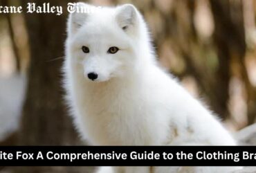 White Fox A Comprehensive Guide to the Clothing Brand