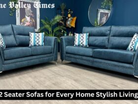 3 and 2 Seater Sofas for Every Home Stylish Living Room