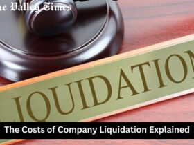 The Costs of Company Liquidation Explained