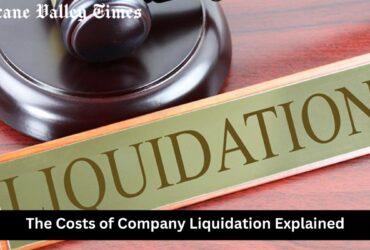 The Costs of Company Liquidation Explained