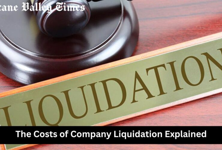 The Costs of Company Liquidation Explained