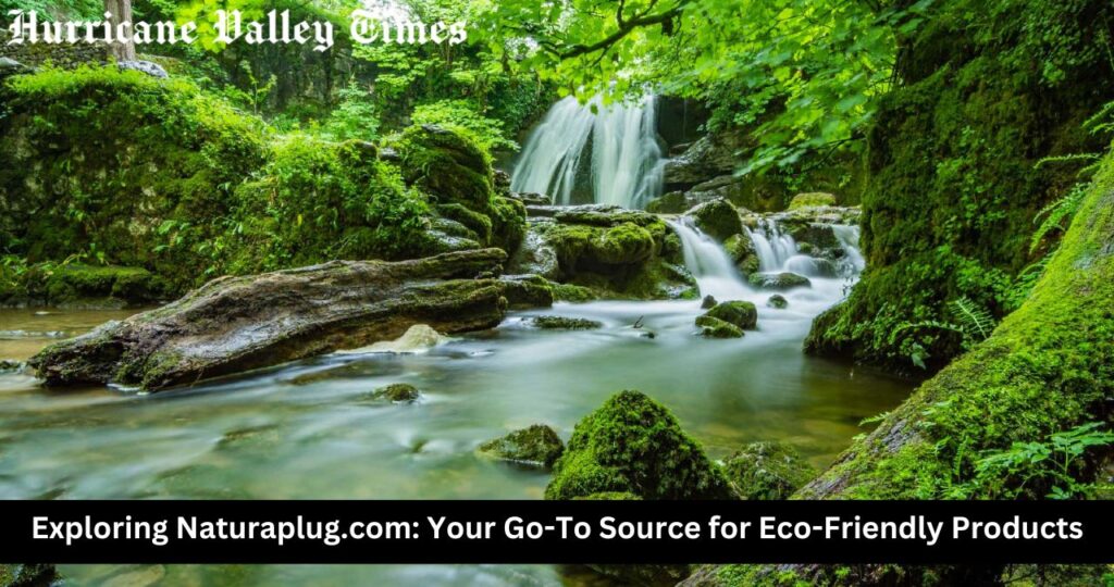 Exploring Naturaplug.com: Your Go-To Source for Eco-Friendly Products