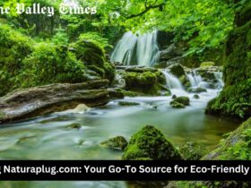 Exploring Naturaplug.com: Your Go-To Source for Eco-Friendly Products