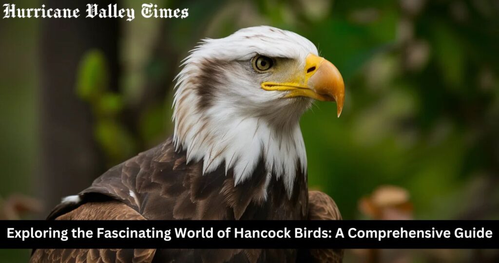 Exploring the Fascinating World of Hancock Birds: A Comprehensive Guide