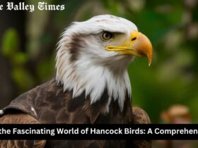 Exploring the Fascinating World of Hancock Birds: A Comprehensive Guide